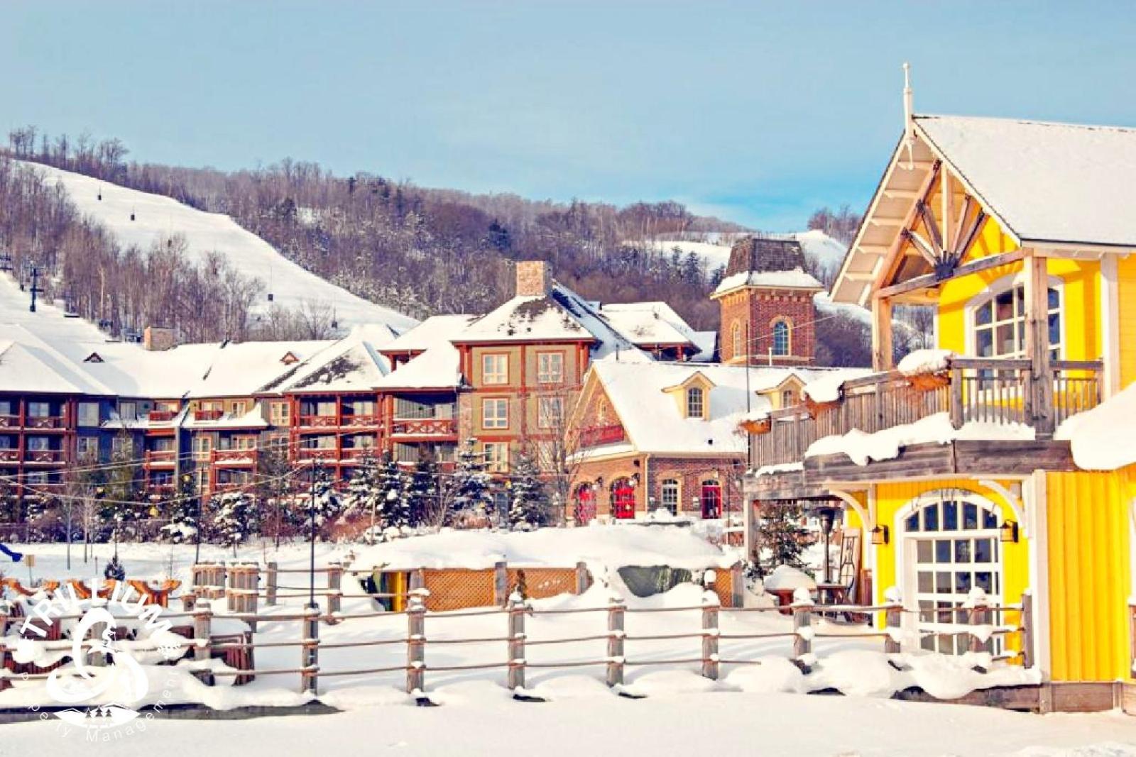 Blue Mountain, Collingwood - Loft Condo, Sleeps 4 Blue Mountains Extérieur photo