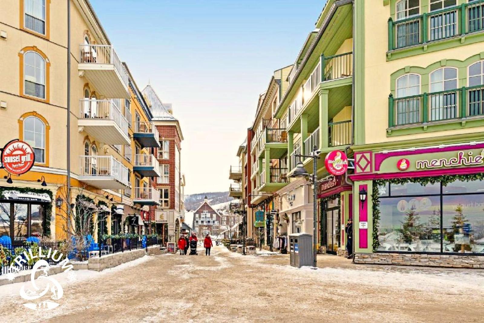 Blue Mountain, Collingwood - Loft Condo, Sleeps 4 Blue Mountains Extérieur photo